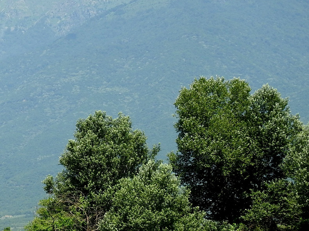 Villa Belles Hotel主图