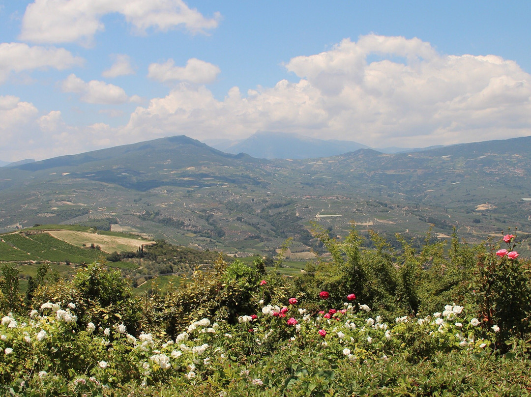 Semeli Estate-Nemea必去景点