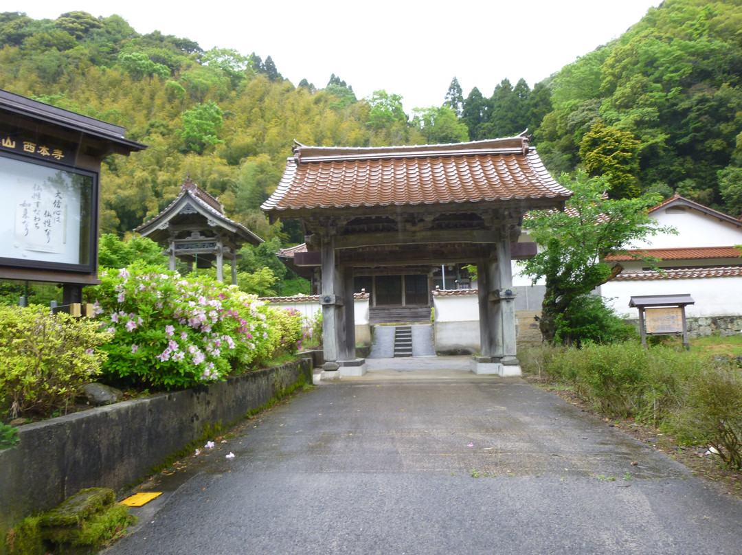 Saihonji Temple景点图片