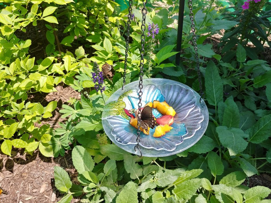 Columbian Park Zoo-拉斐特必去景点