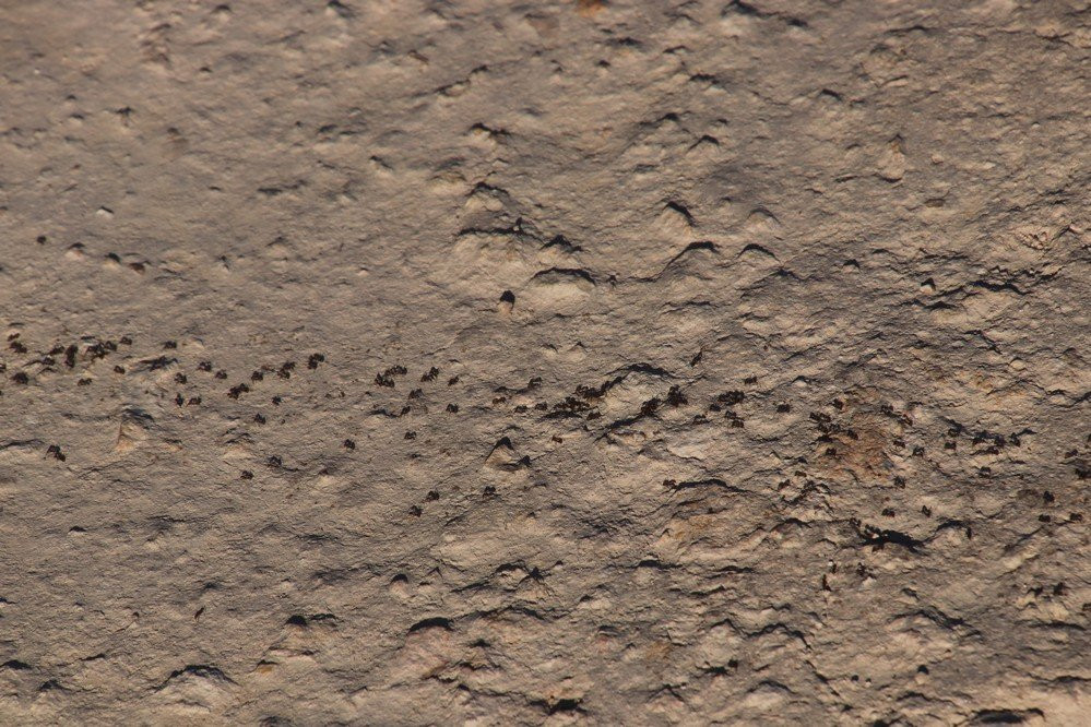 Meningie Lookout-Meningie必去景点