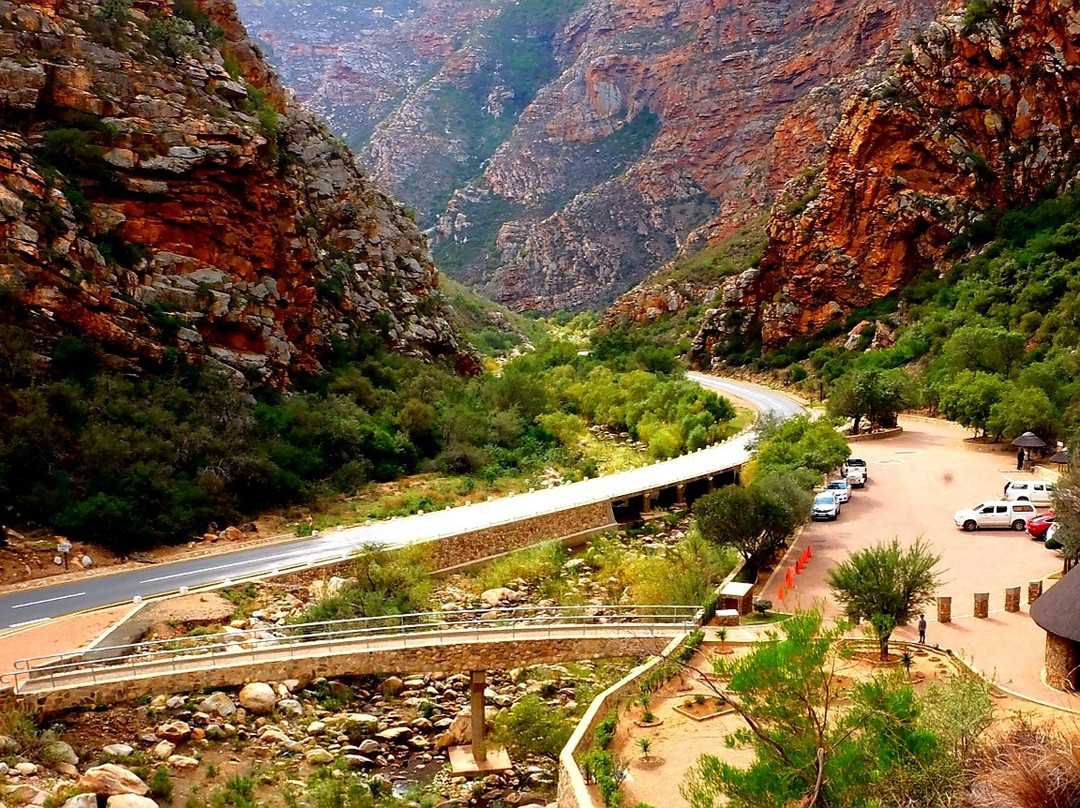 德鲁旅游攻略图片