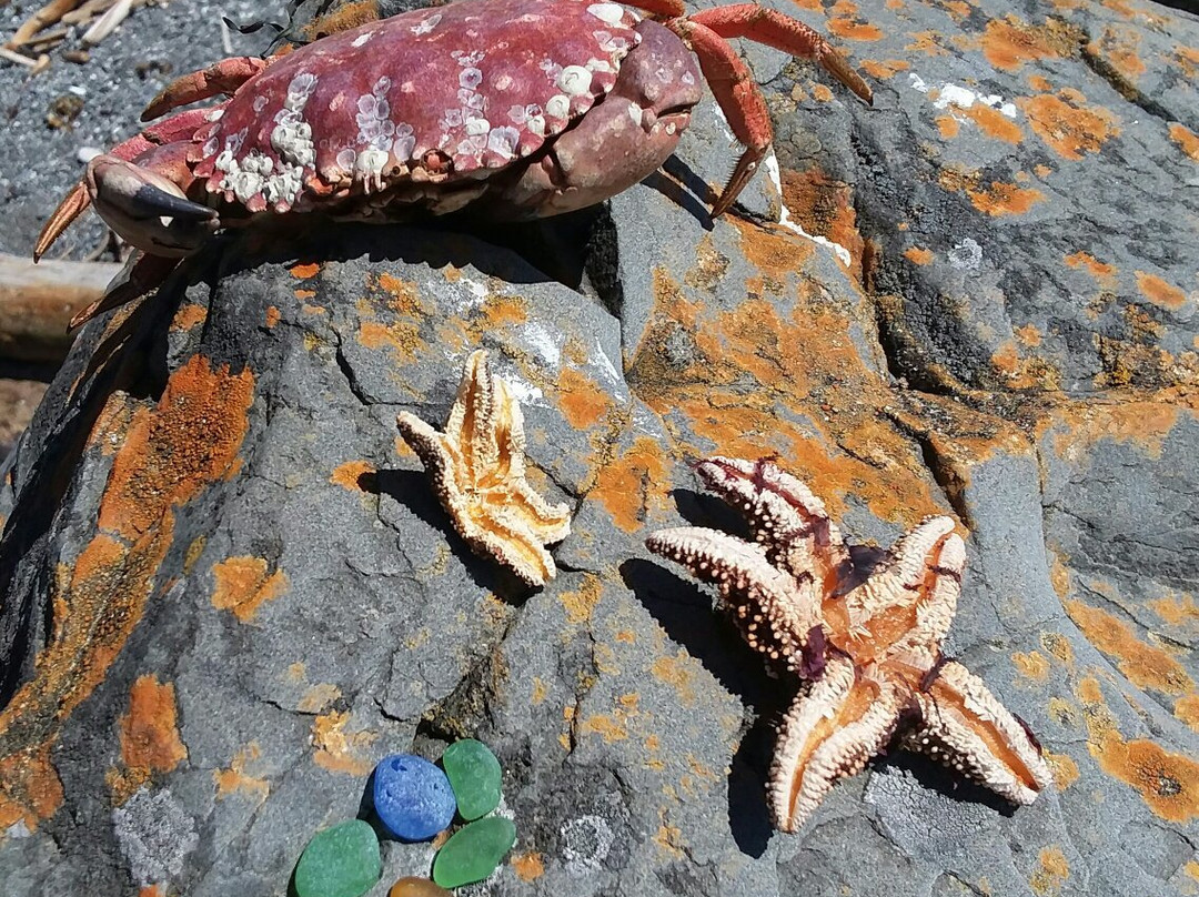 McVay Rock State Recreation Site-布鲁金斯必去景点