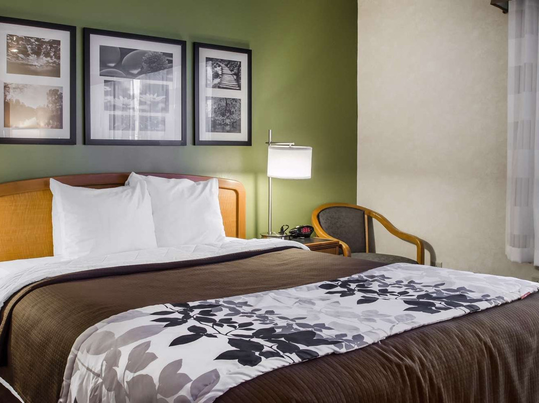 Sleep Inn & Suites主图