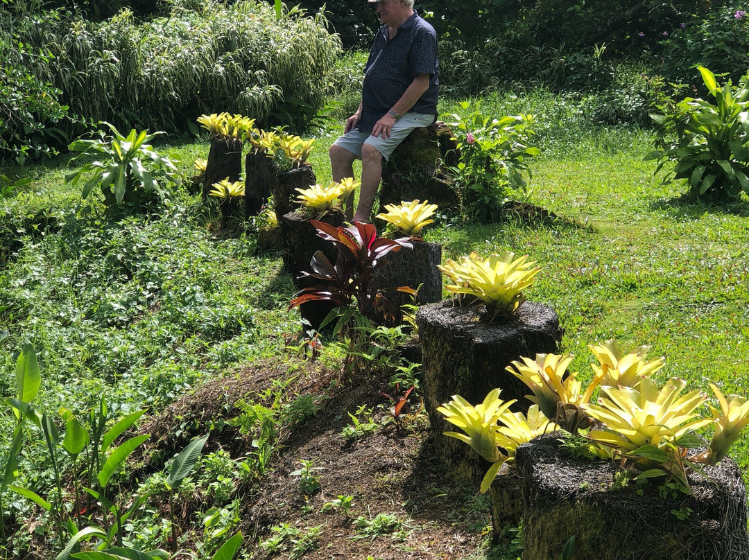 Fuipisia Waterfall景点图片