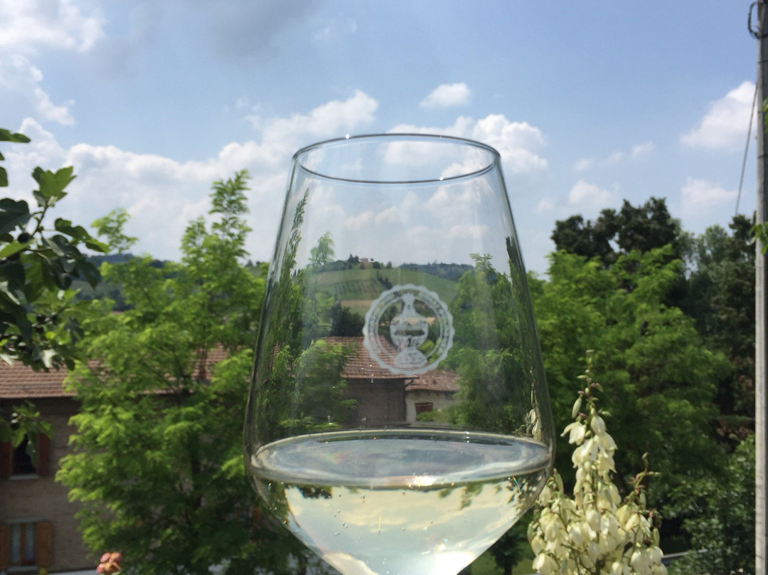 Azienda Agricola Botti di Bovina Fabio景点图片