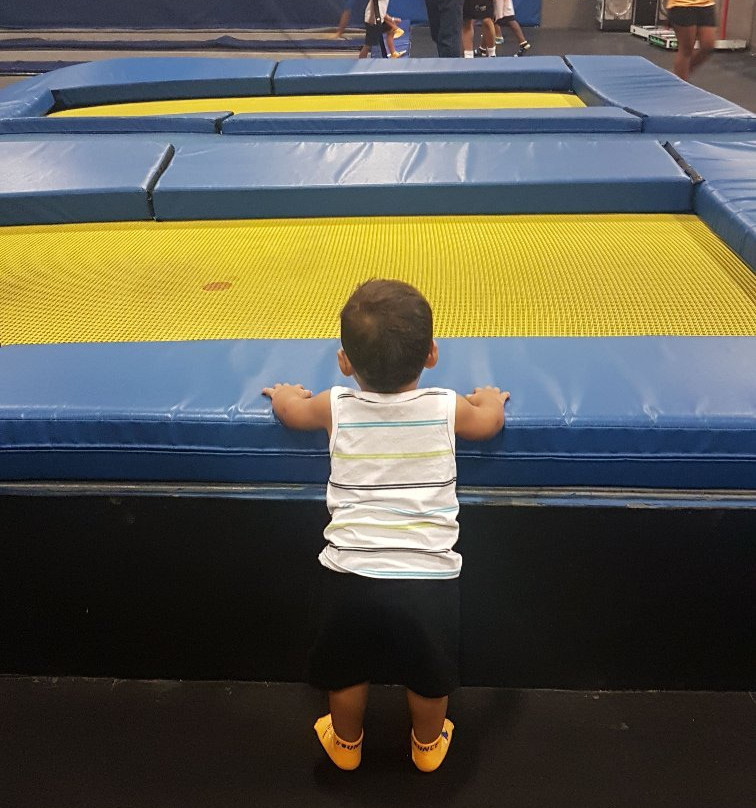 Bounce Trampoline Park-卡罗来纳必去景点