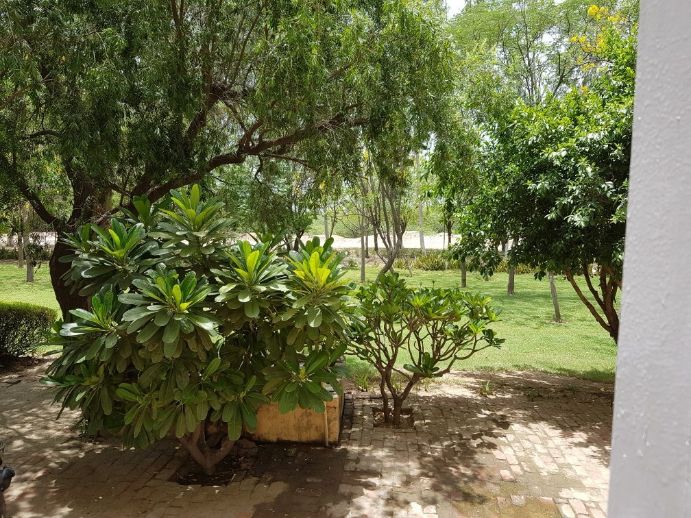 WelcomHeritage Sheikhpura Kothi主图