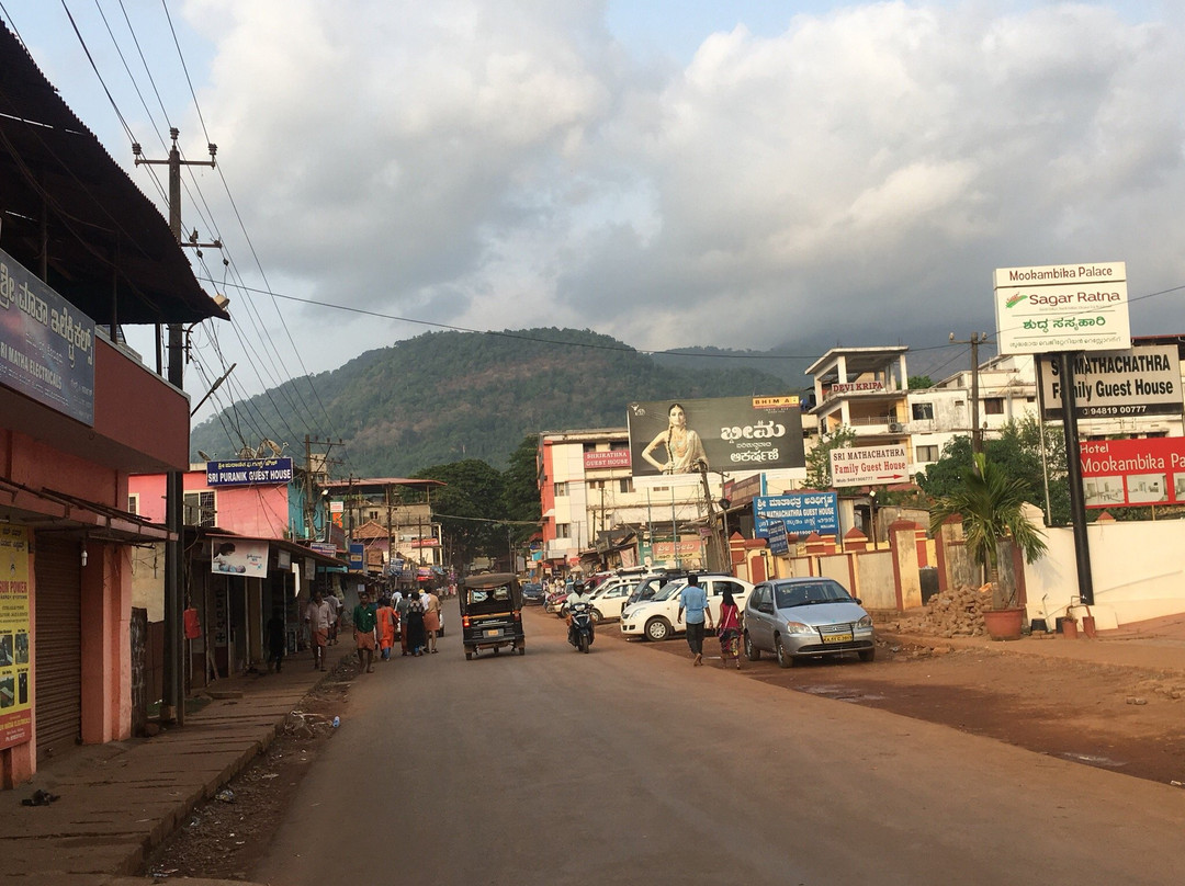 Hotel Kairali Residency主图