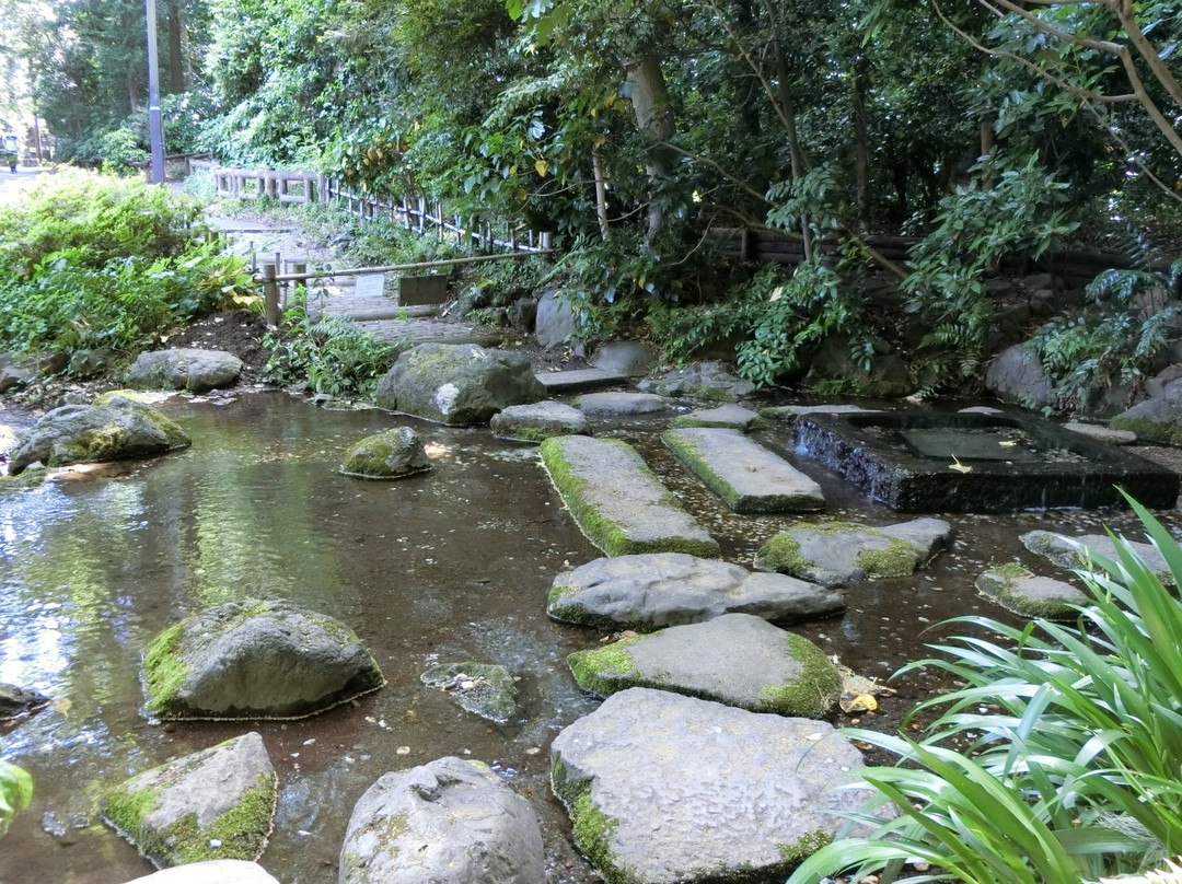 Ochanomizu Pond-三鹰市必去景点