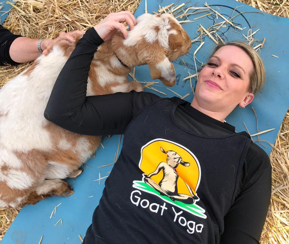 Oringal Goat Yoga-New York景点图片