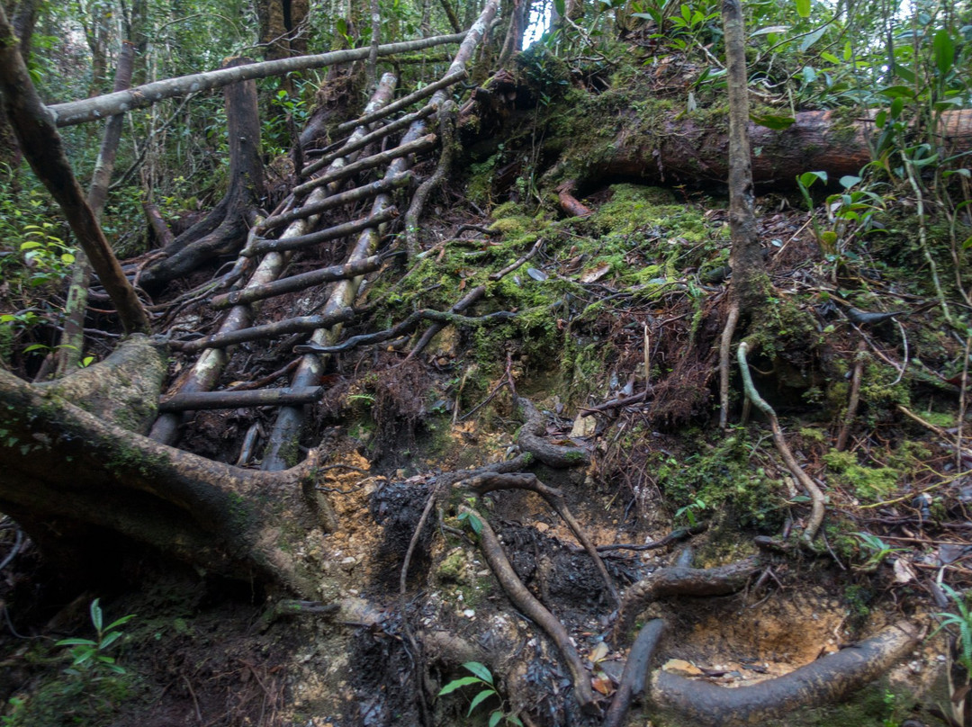 Mount Trusmadi-根地咬必去景点