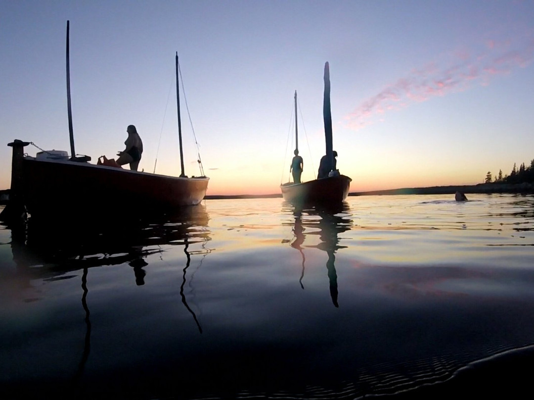 Salty Surf Tours-Head of Jeddore必去景点