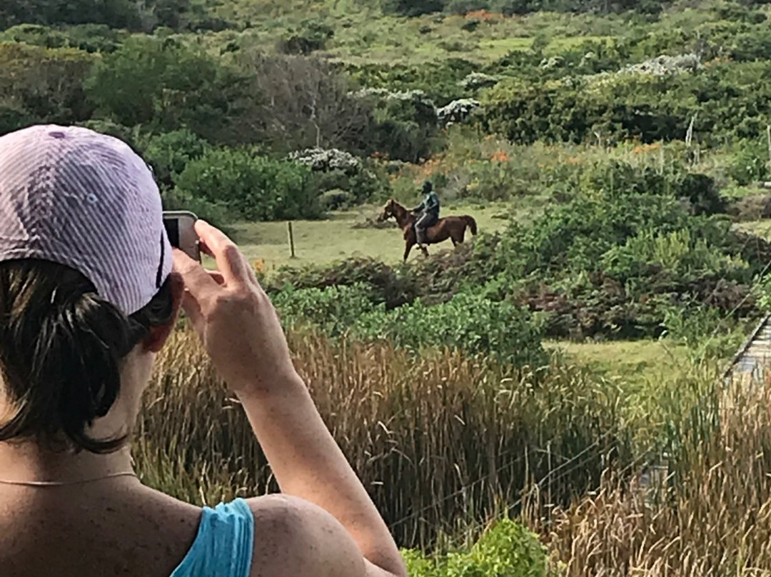 Oyster Bay Lodge主图