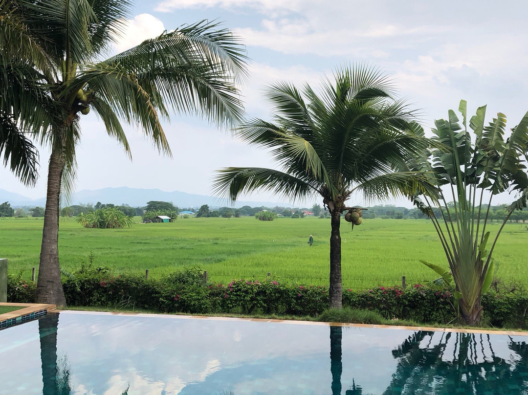 Ban Huat酒店住宿-Baan Suchadaa Lampang Resort