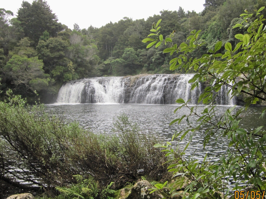 Kerikeri River Track景点图片