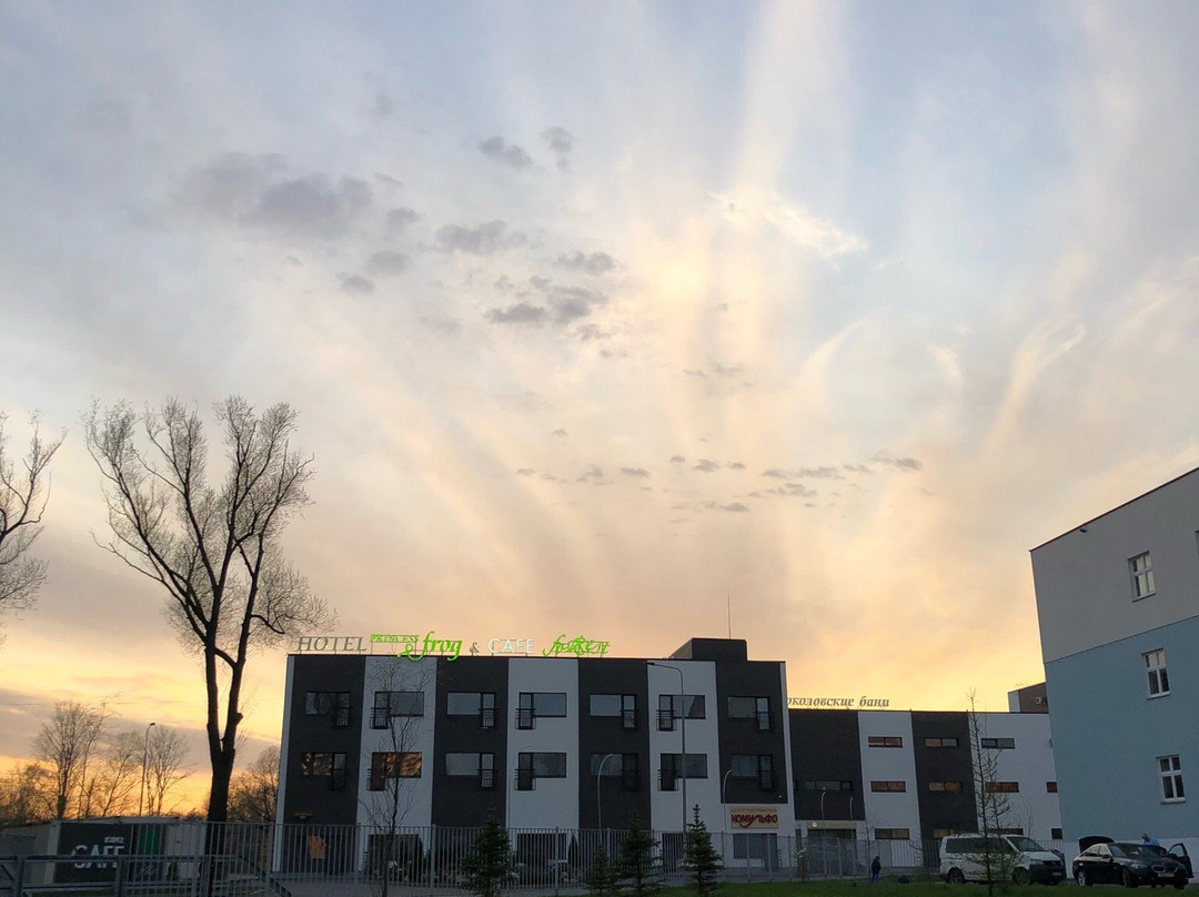 Hotel Princess Frog主图