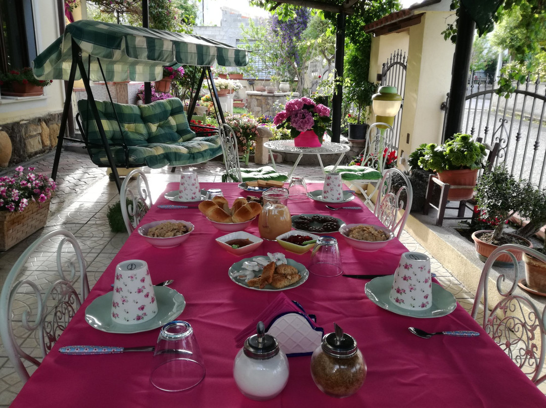 B&B Il Giardino da Pina主图