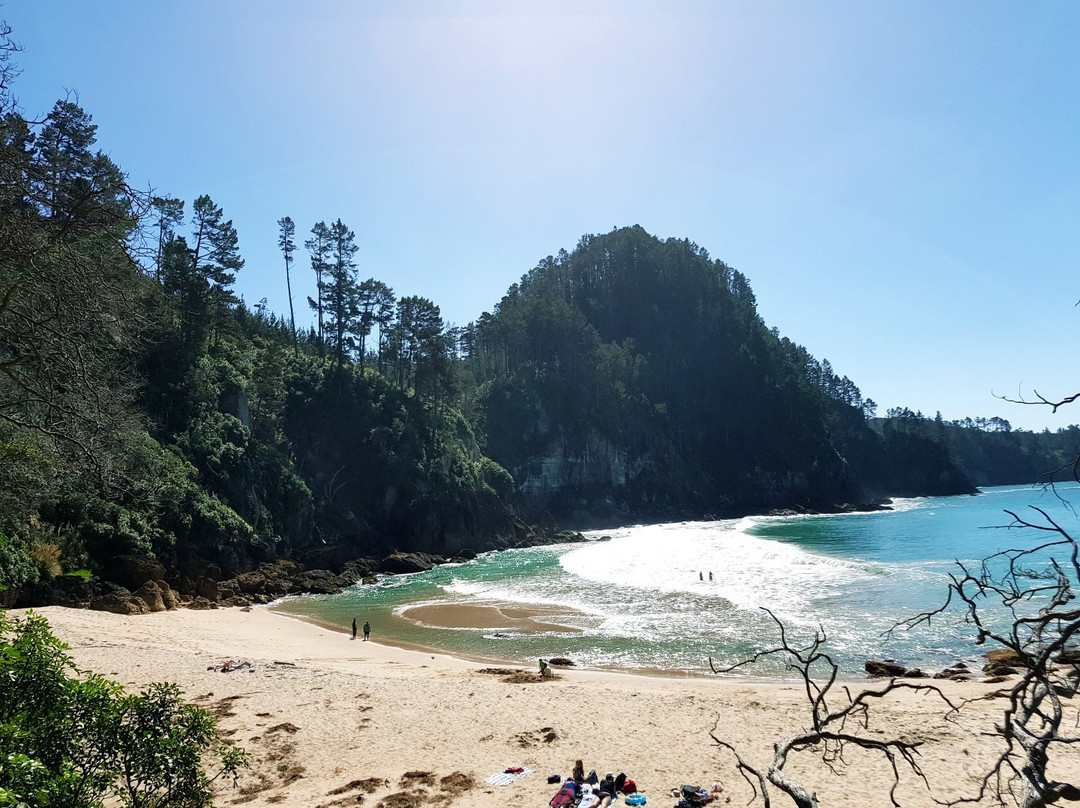 Pokohino Beach-科罗曼德必去景点