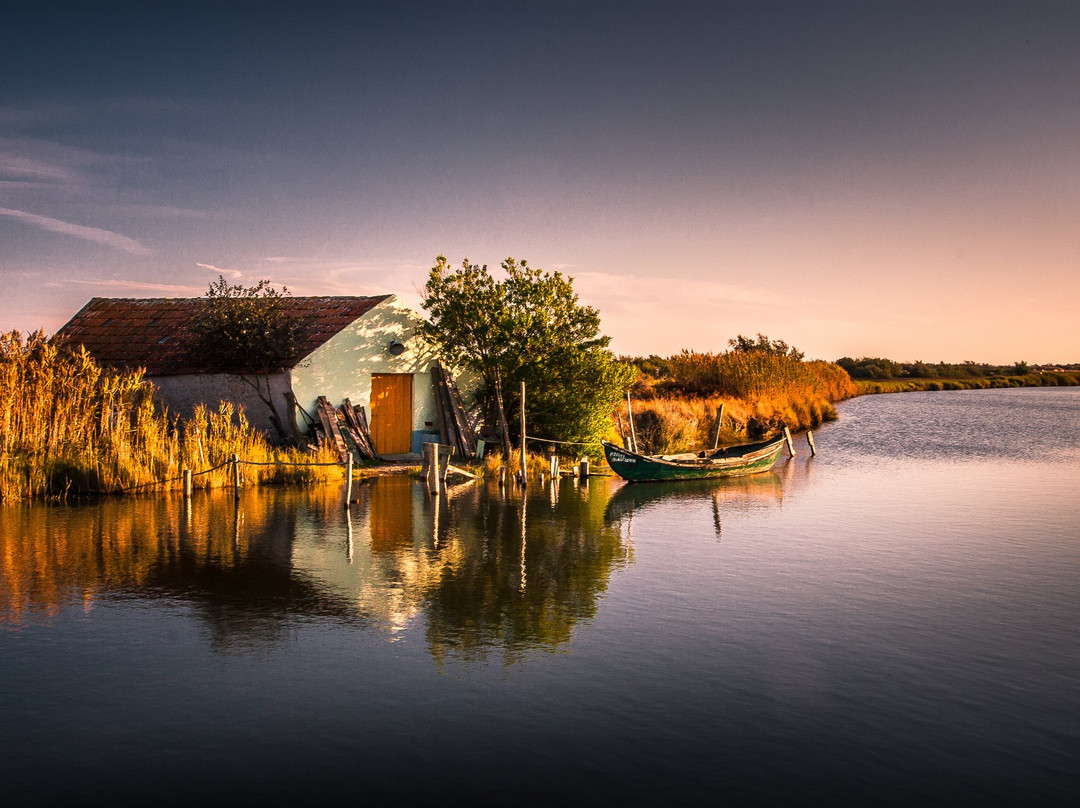 Aveiro District旅游攻略图片