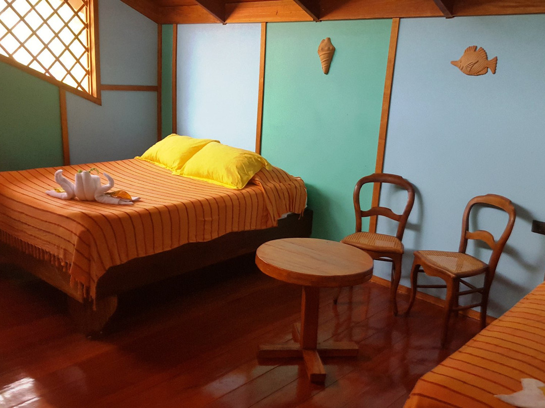 Casa Merlin - Costa Rica主图