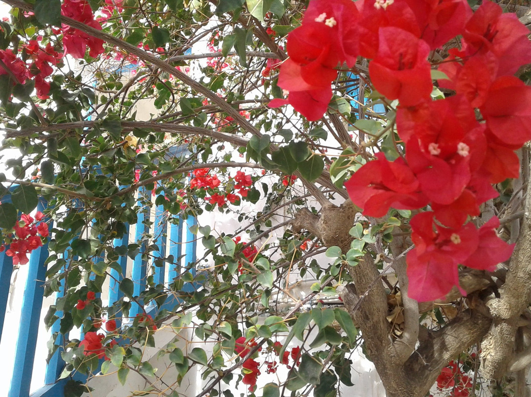 Hotel Dar Faiza主图