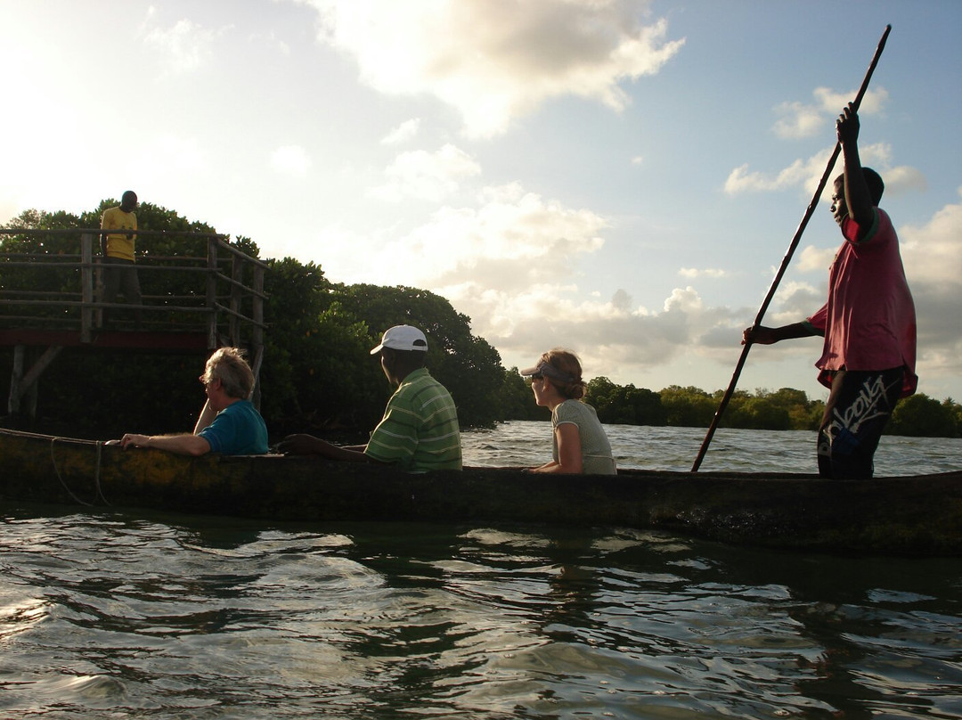 Mangrove Boardwalk Mida Creek景点图片