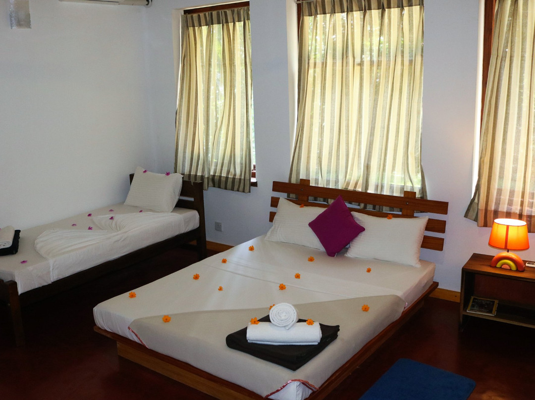 Pepper Tree Kandy主图