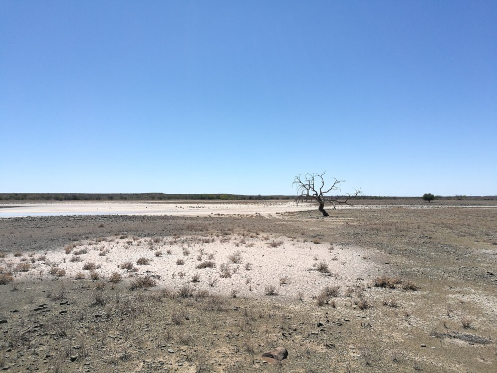 Olive Grove Guest Farm主图