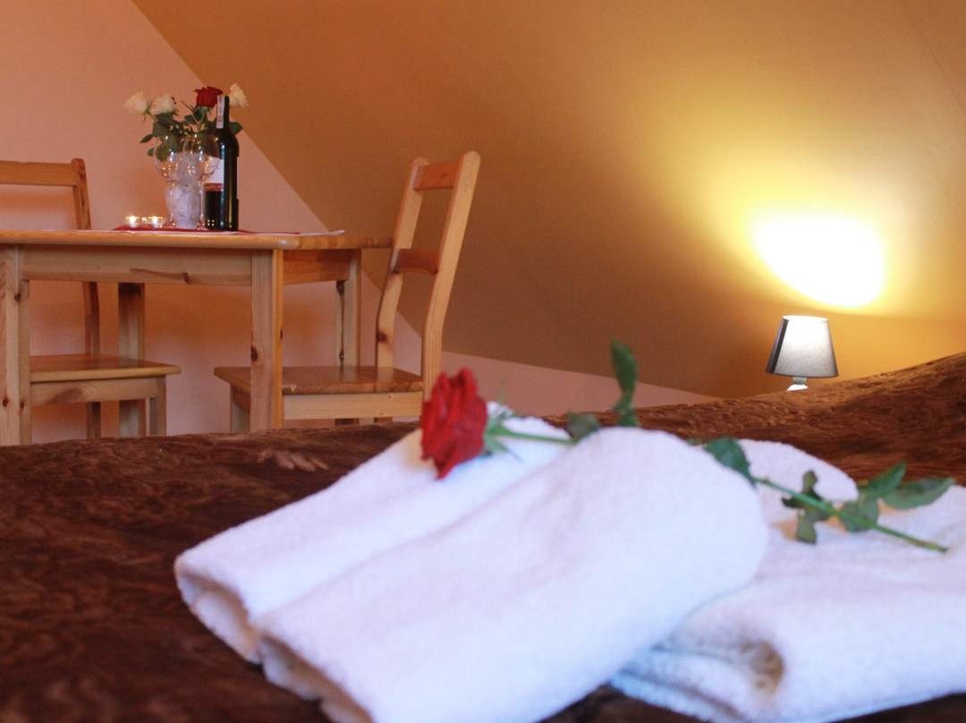 Pensjonat i Restauracja Nowak主图