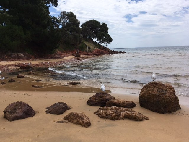 菲利普岛考拉哈舒适度假酒店主图