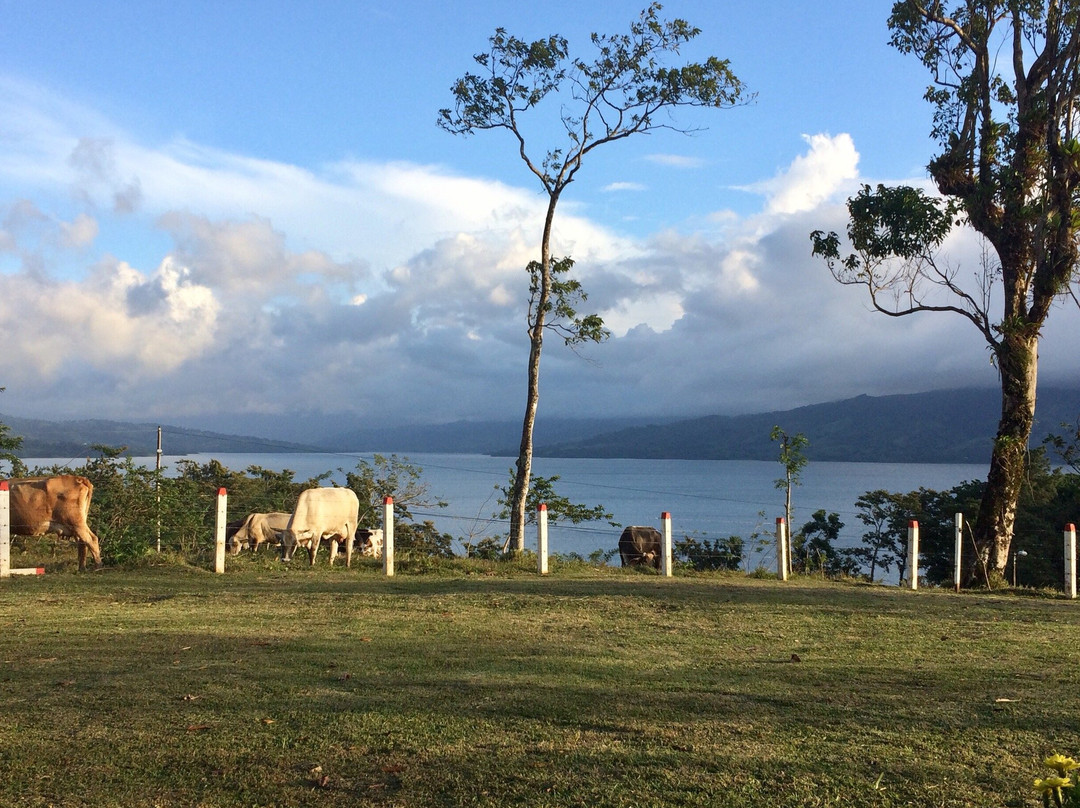 Little Paradise主图