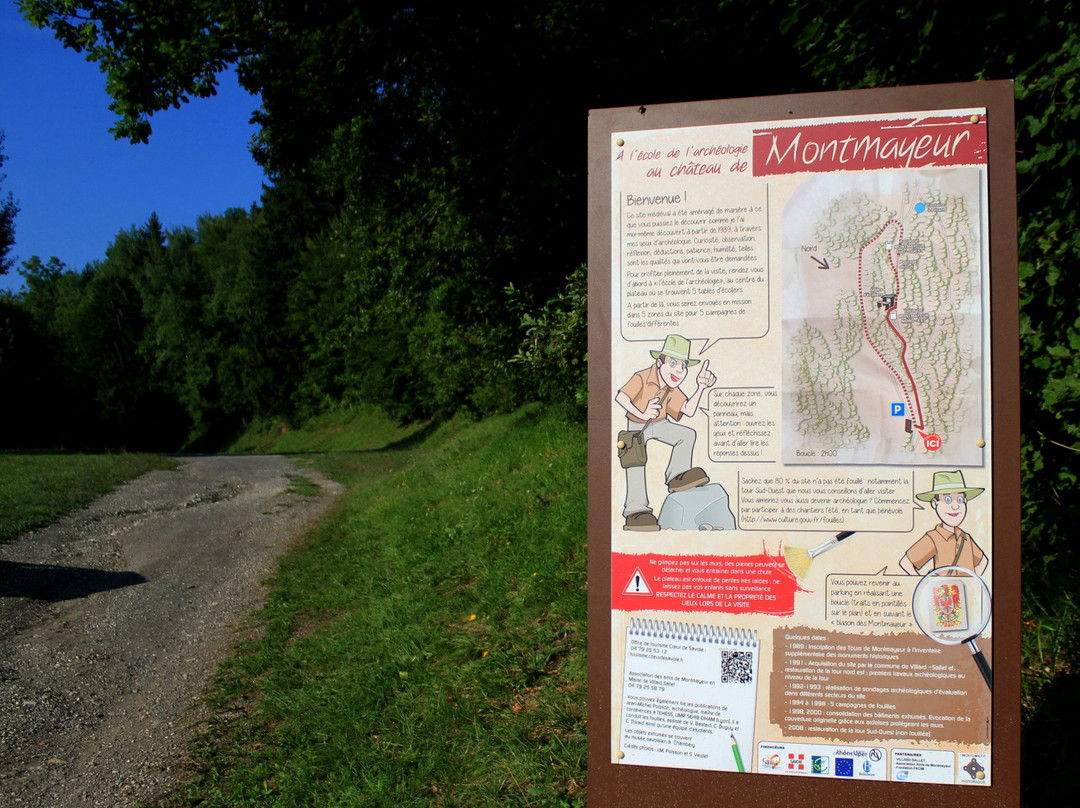 Tours de Montmayeur景点图片