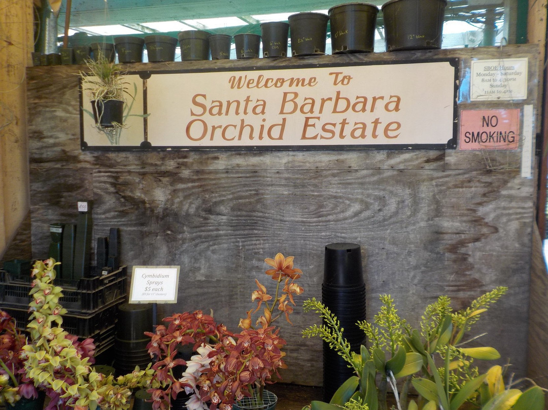 Santa Barbara Orchid Estate-圣巴巴拉必去景点