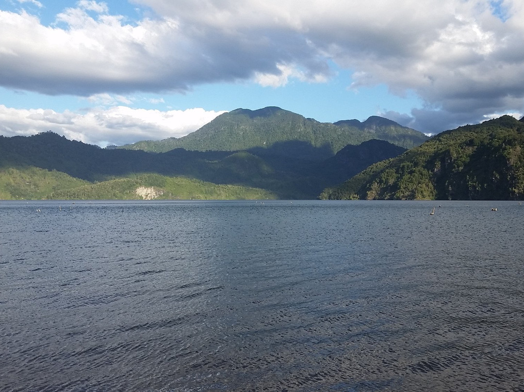Lago Pellaifa景点图片