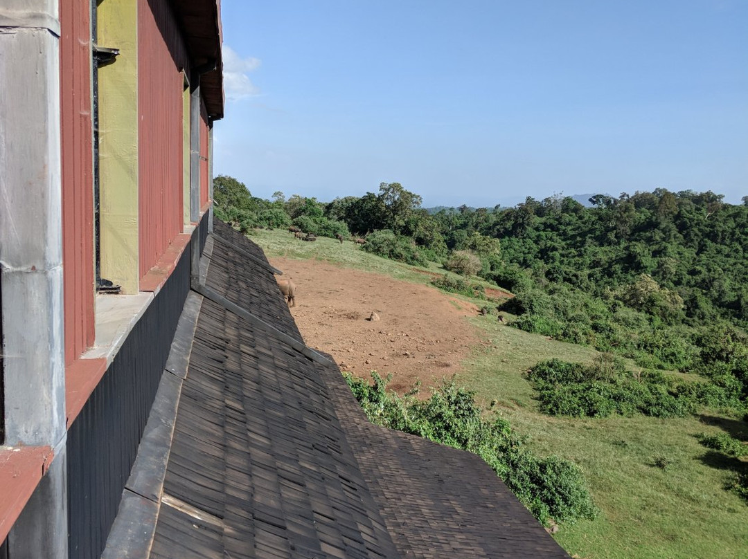 方舟山林小屋主图