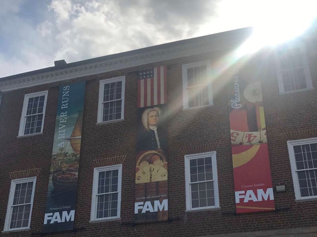 Fredericksburg Area Museum景点图片