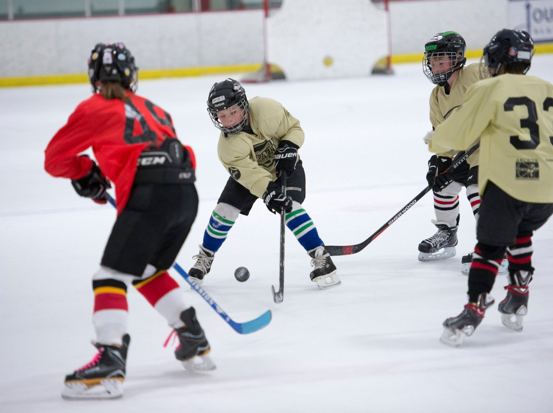 Haynes Pavilion and Ressler Motors Ice Rink-博兹曼必去景点