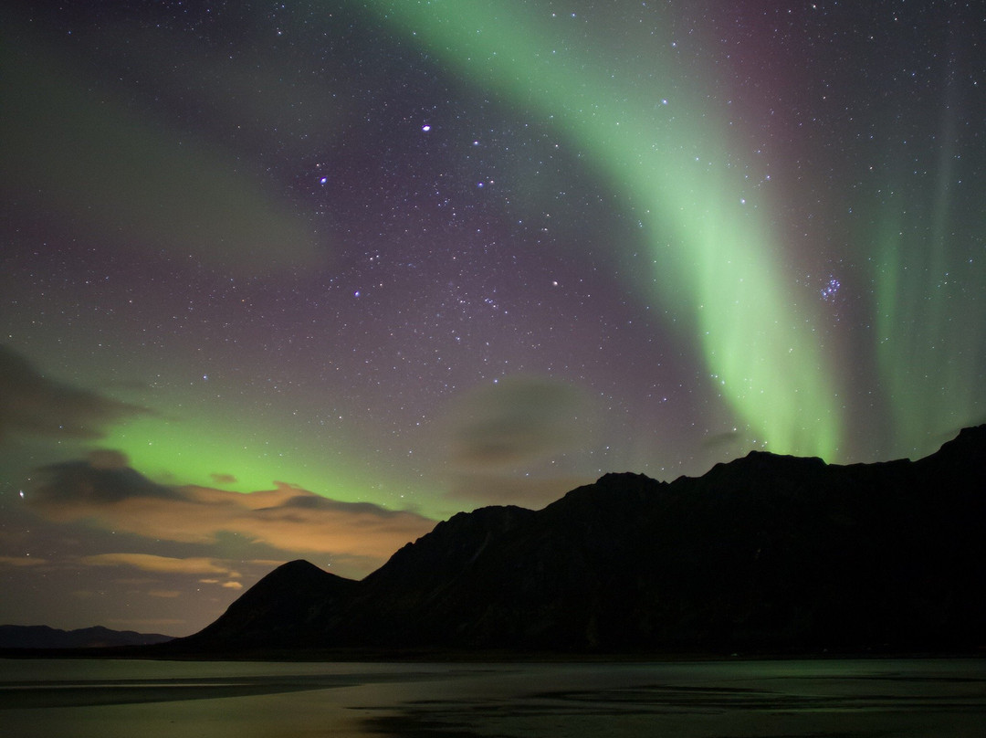 Lofoten Photo Tours景点图片