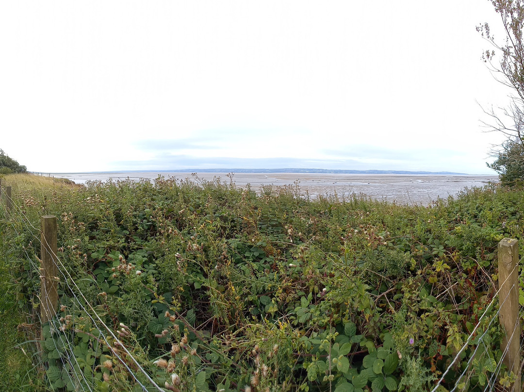 Wirral Country Park Caravan and Motorhome Club Campsite