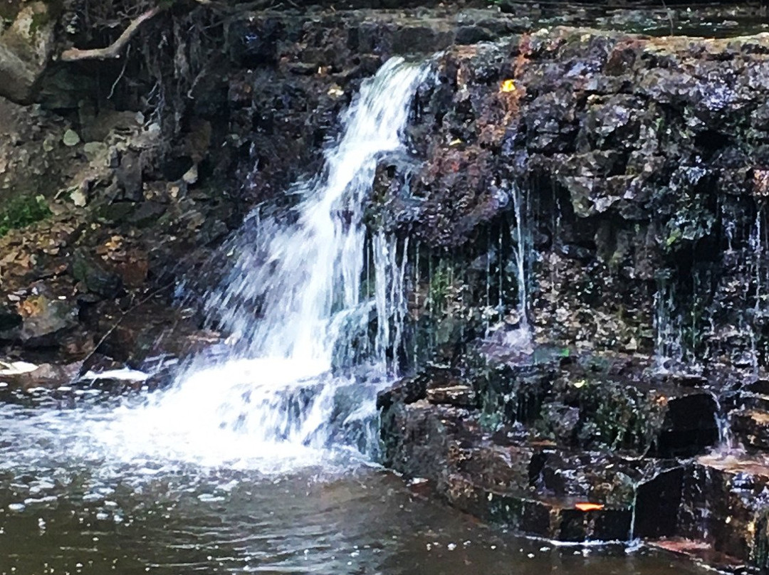 Talsi旅游景点-Īvande River's Waterfall