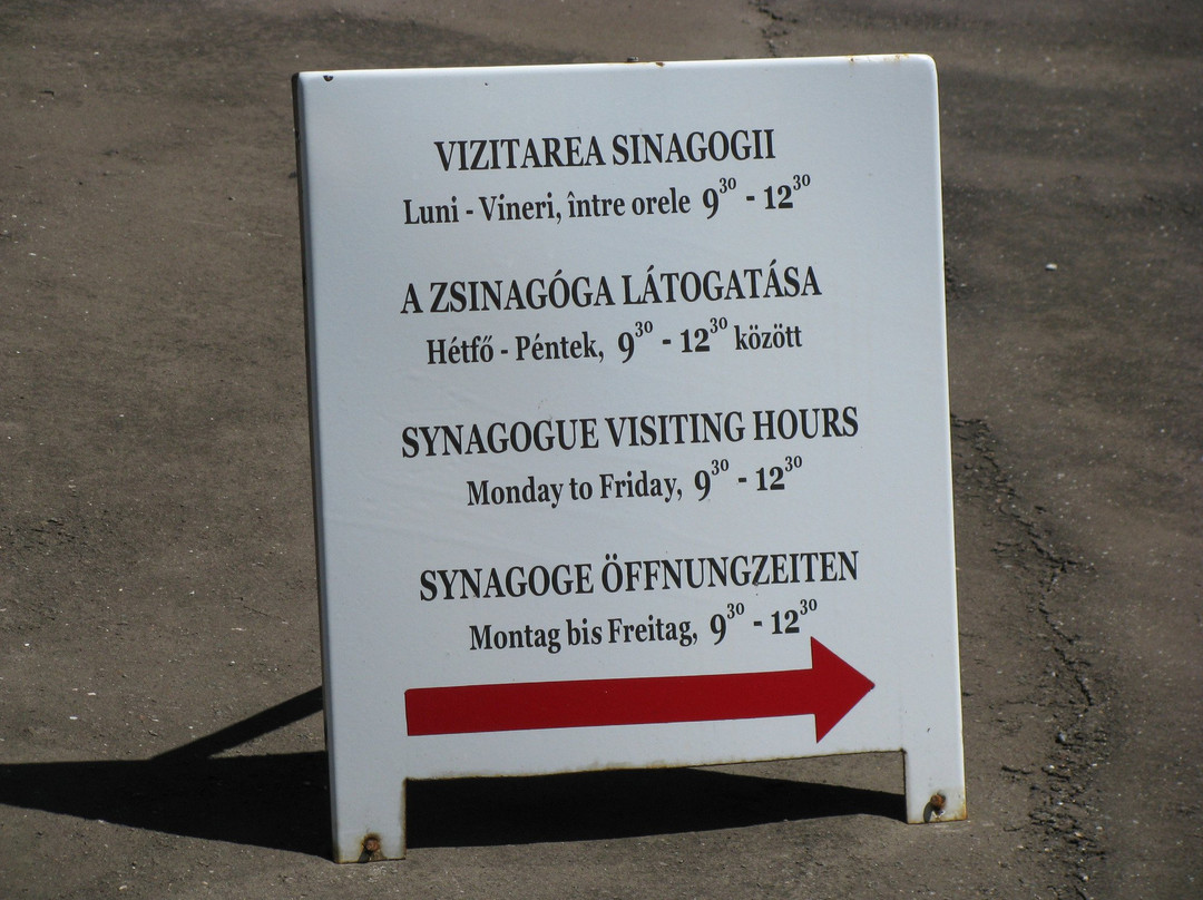 Synagogue of Tg. Mures景点图片