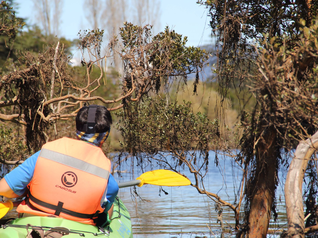 Ecoturismo la Pancha-Puerto Aisen必去景点