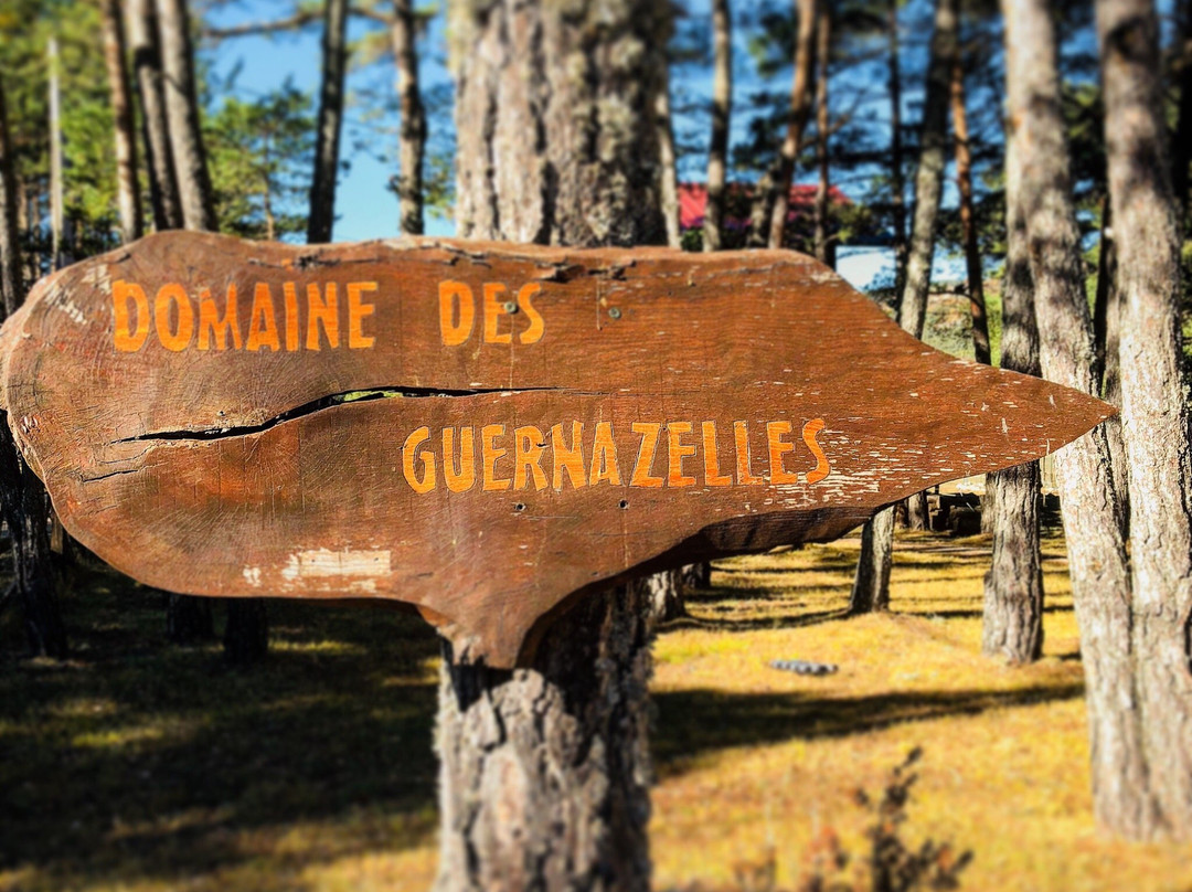 Domaine des Guernazelles主图