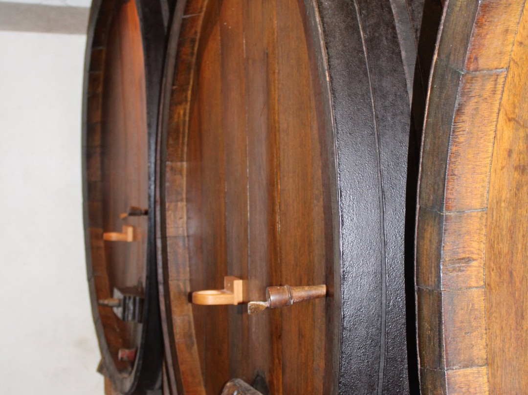 Domaine David Ermel & Fils景点图片