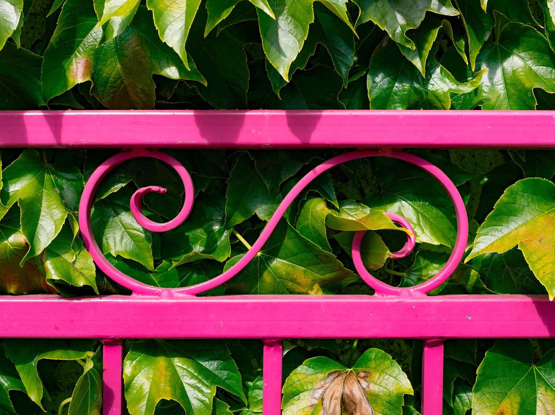 La Bienvenue au Pays de Jeanne主图