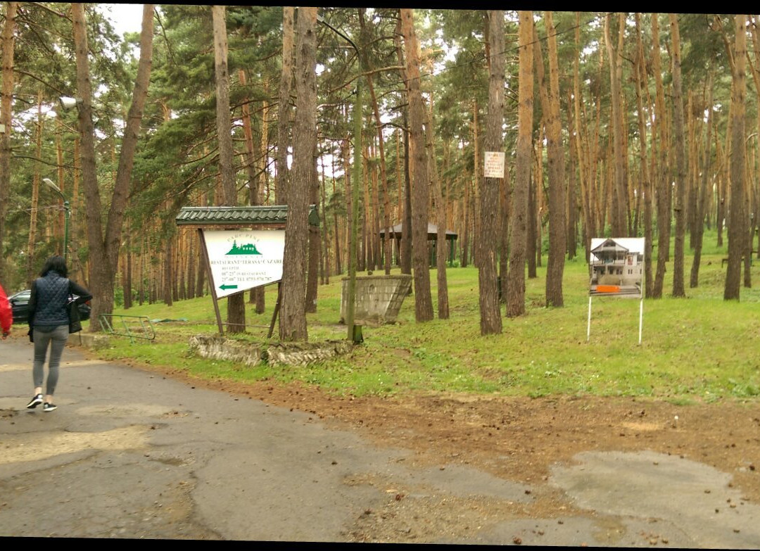 Parcul cu Pini Mardare Pension