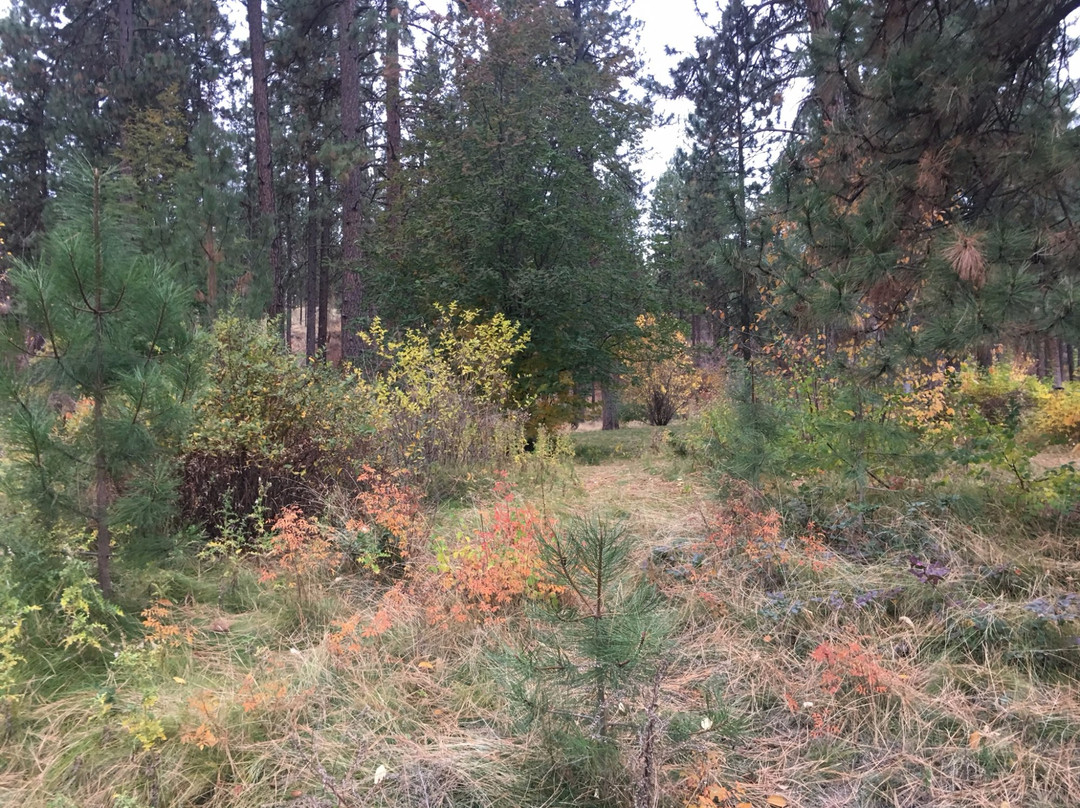Mirabeau Meadows Park-斯波坎谷必去景点
