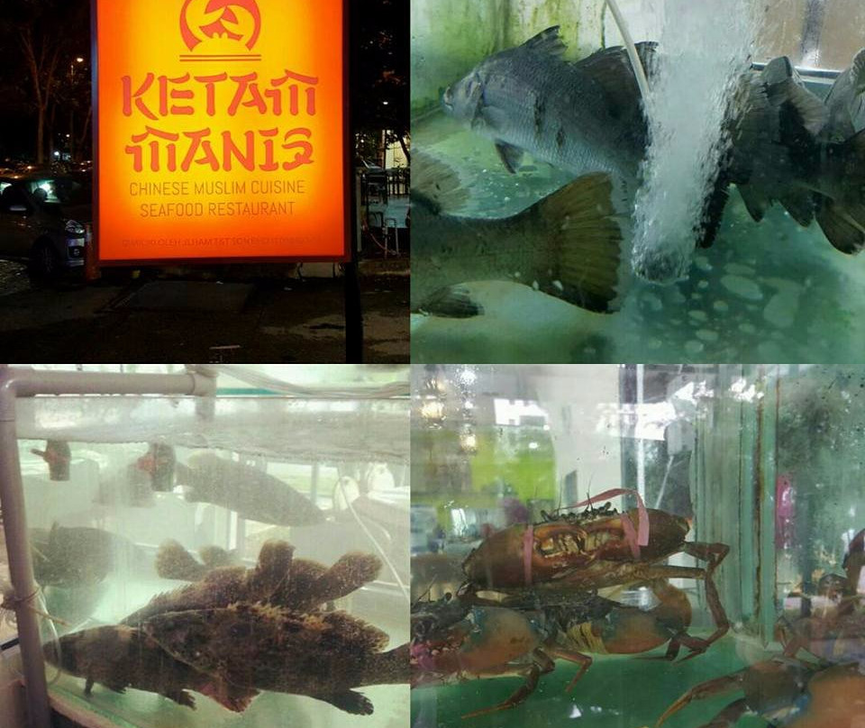 Ketam Manis Seafood Restaurant