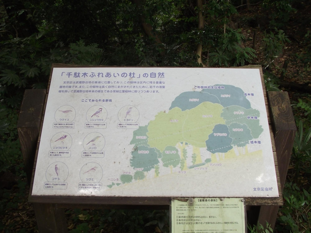 Sendagi Fureai no Mori-Sendagi必去景点